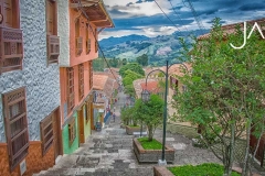 Foto1
